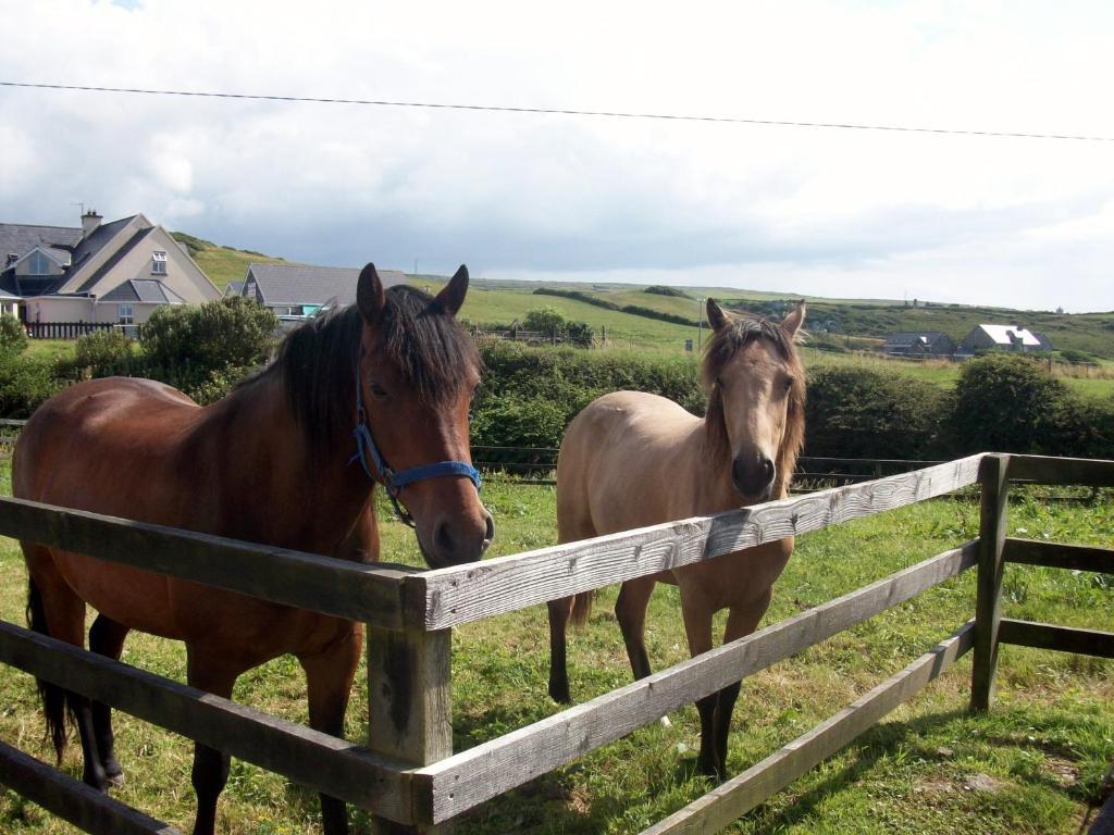 O'Connor'S Accommodation Doolin Dış mekan fotoğraf