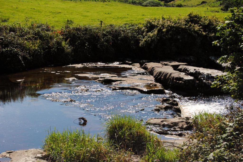 O'Connor'S Accommodation Doolin Dış mekan fotoğraf