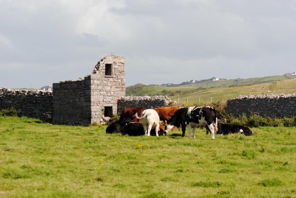 O'Connor'S Accommodation Doolin Dış mekan fotoğraf