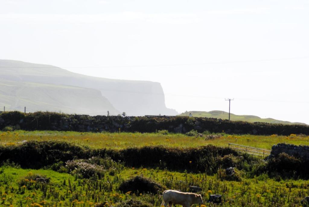 O'Connor'S Accommodation Doolin Dış mekan fotoğraf